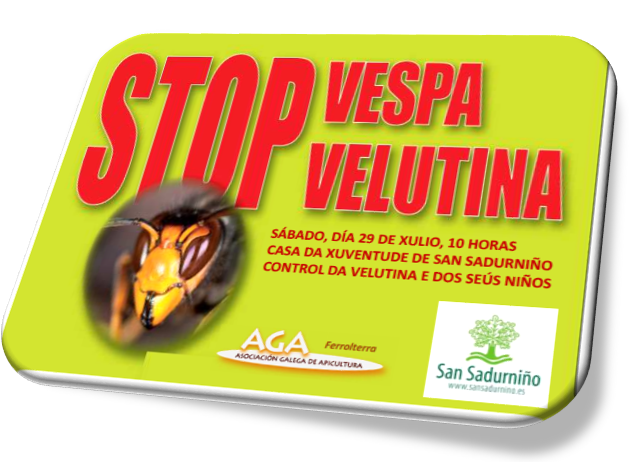Stop vespa velutina meeting in July with Xesus Feas