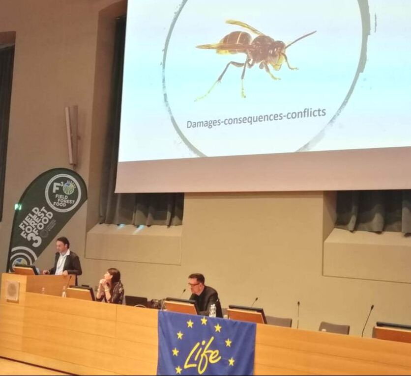 Dr Feás a member of The Velutina Task Force talking about the Asian hornet in Turin